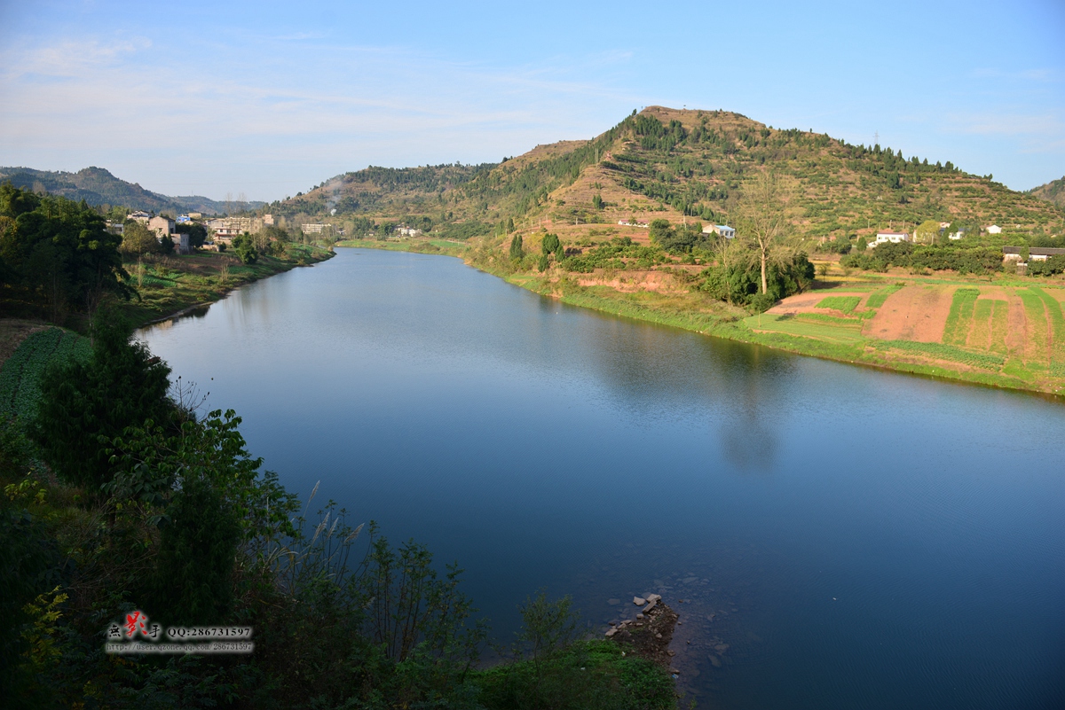 DSC_4432.jpg