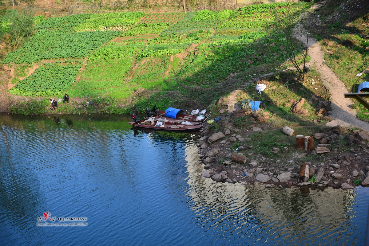 DSC_4435.jpg