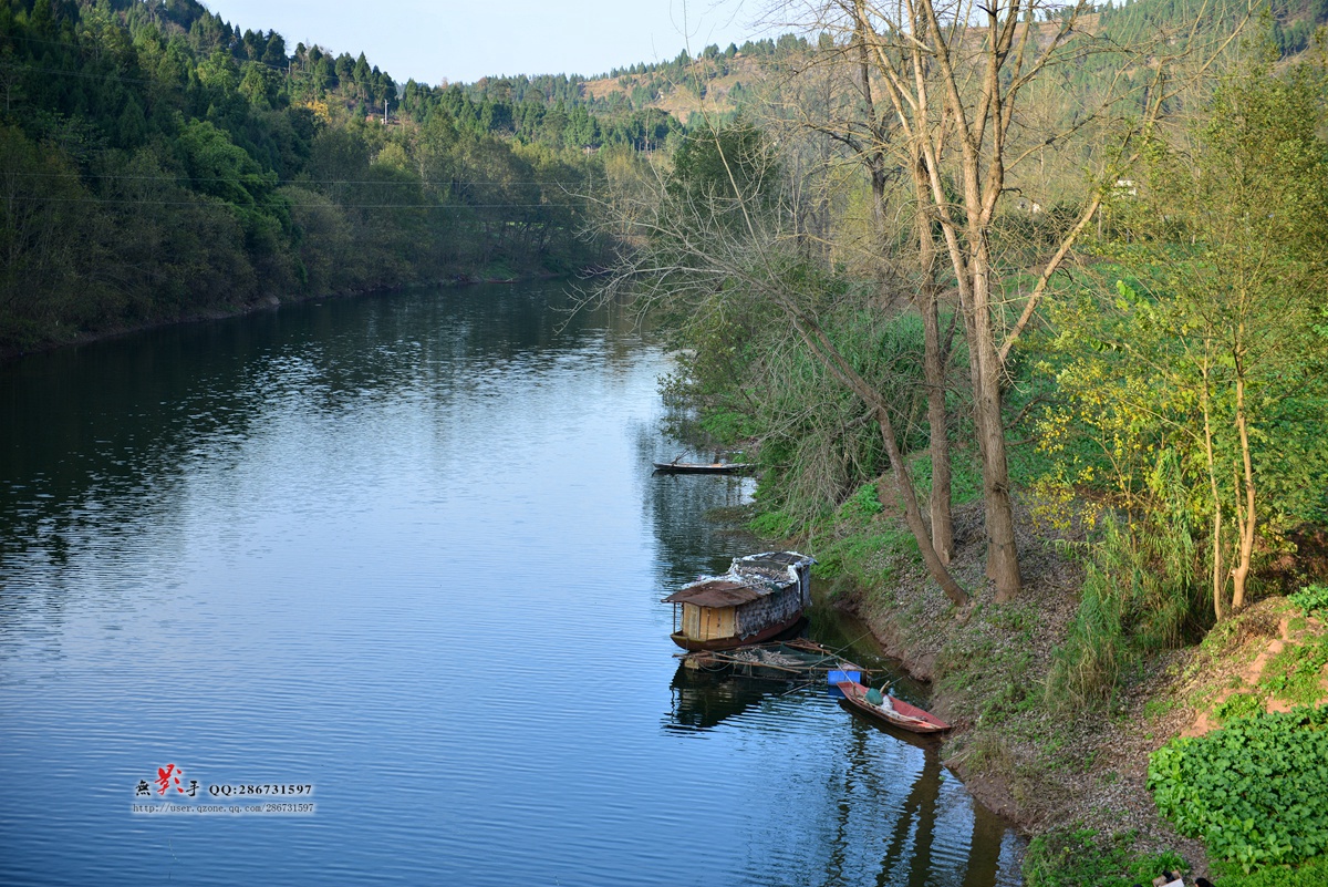 DSC_4448.jpg