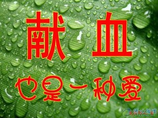 233237hcdr9yrqv3l689jp.jpg