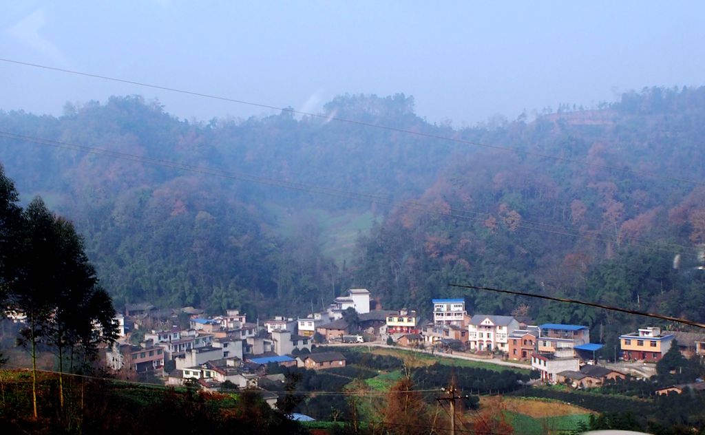 P1020093_.jpg