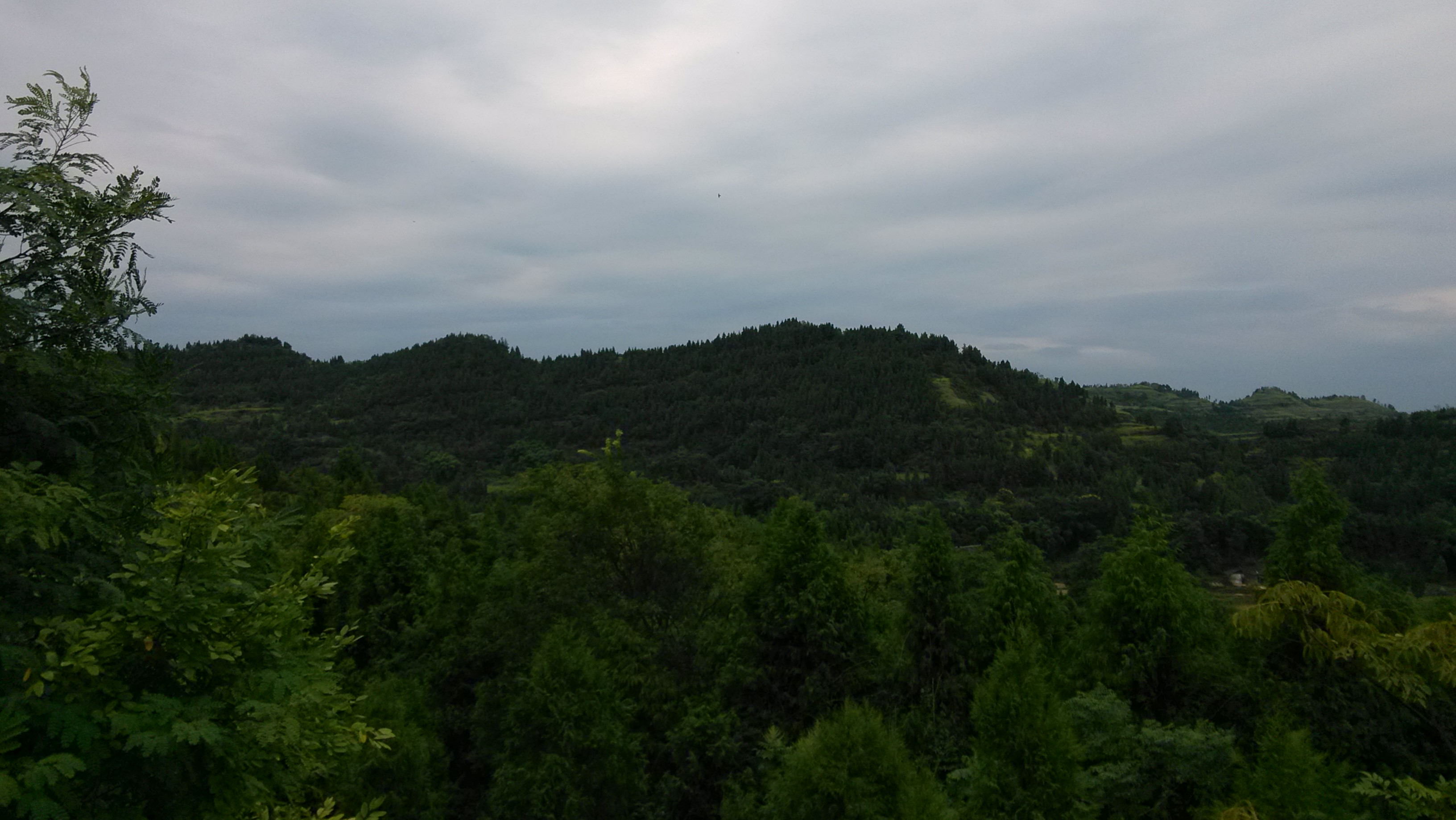 IMG_20130903_163907.jpg