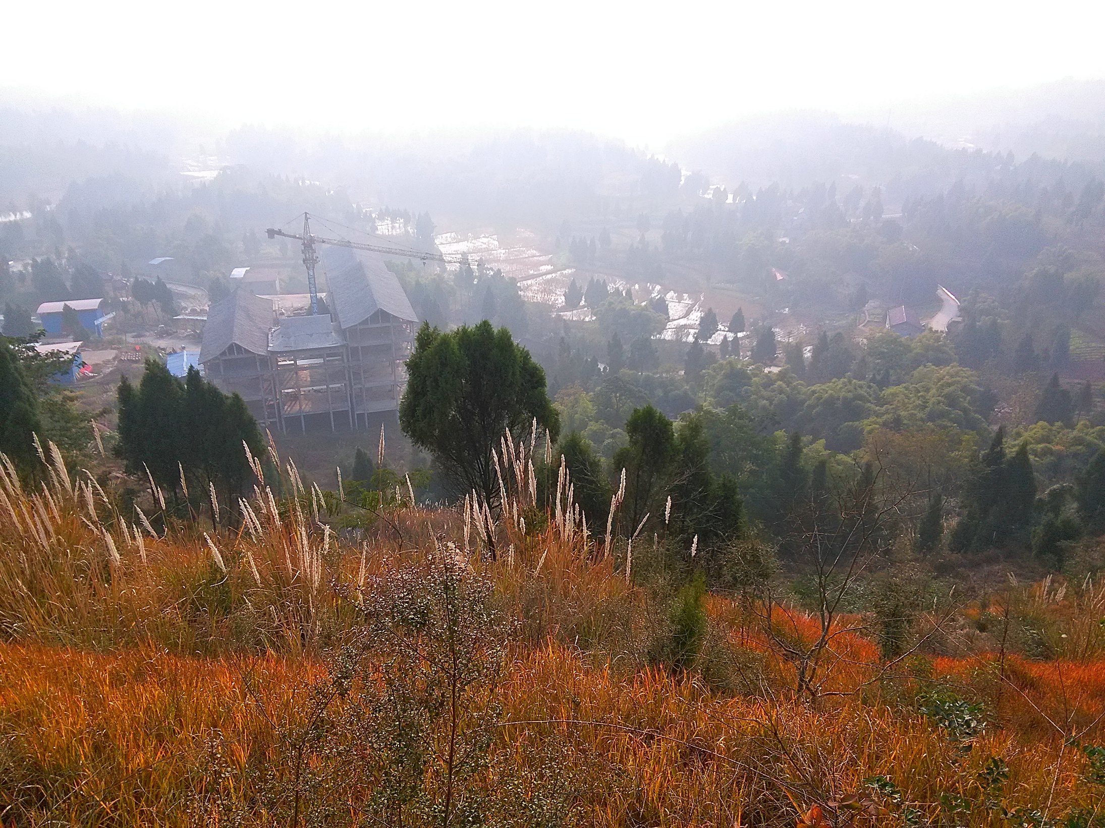 芙蓉山上风景看 佛尔寺前转三年-营山论坛-麻辣社区 四川第一网络社区