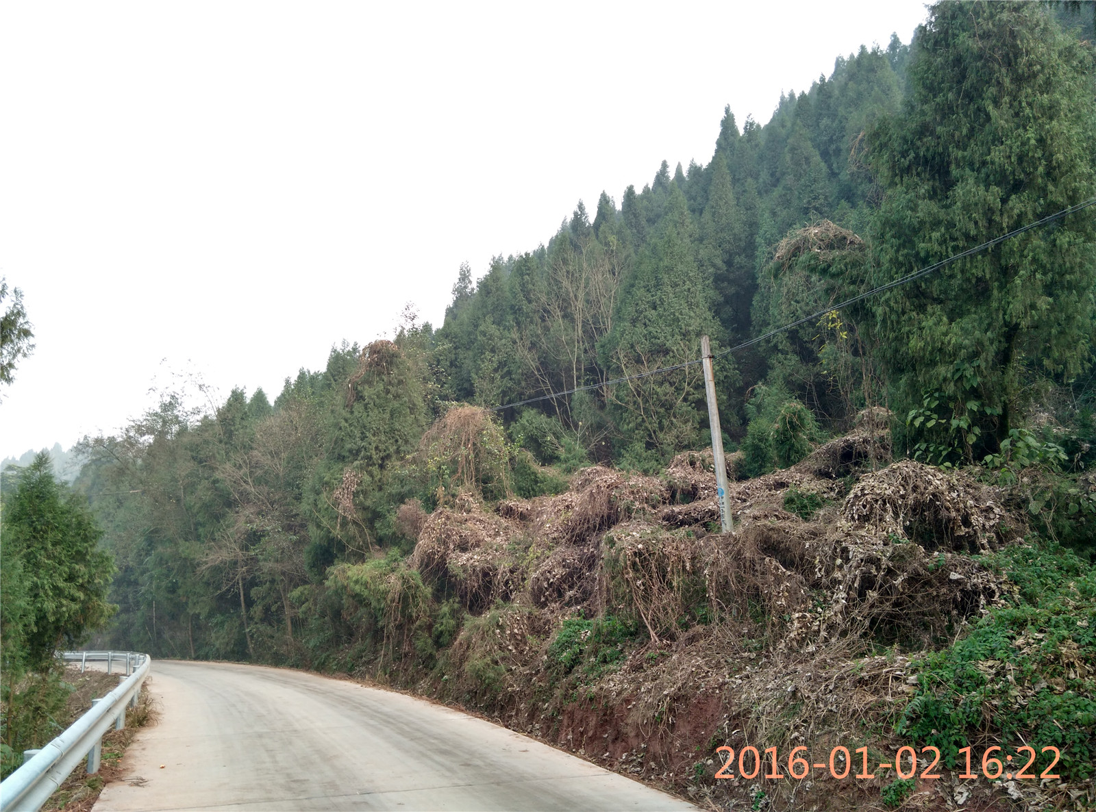 IMG_20160102_162232_HDR.jpg