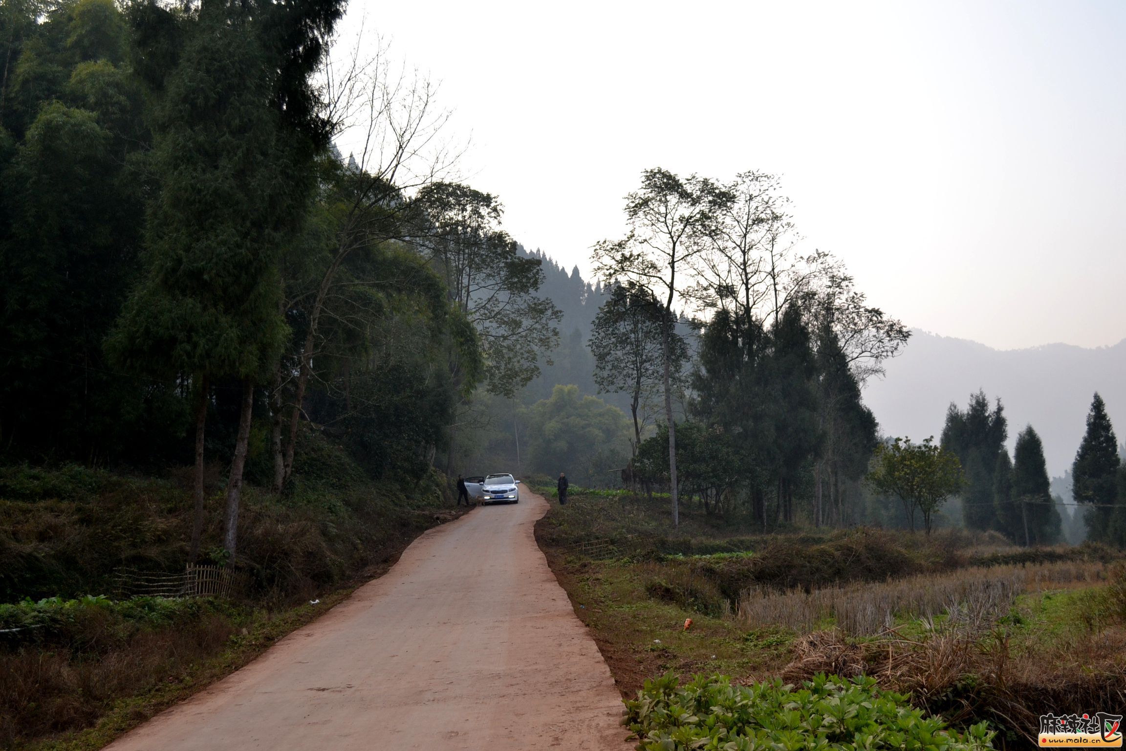DSC_4825.JPG