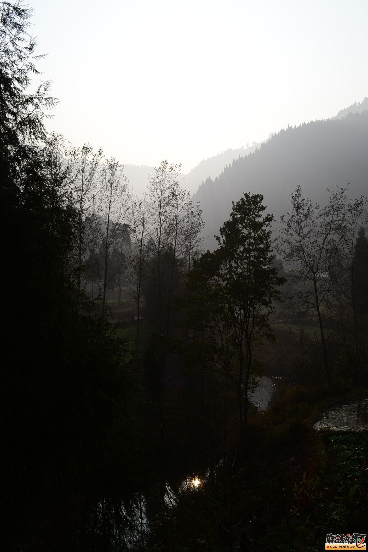 DSC_4841.JPG