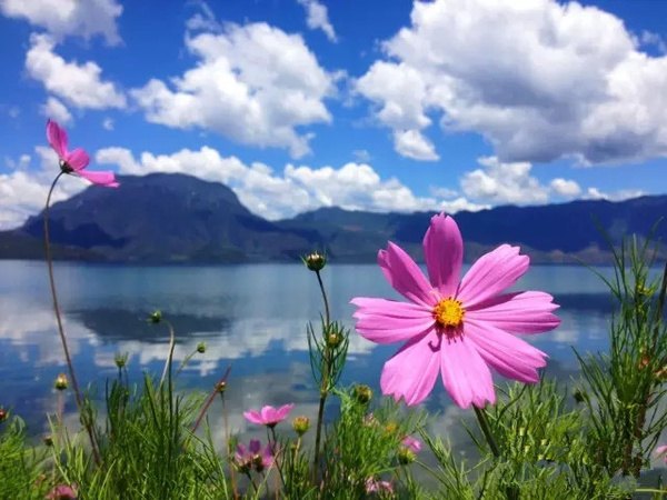 一场美丽的邂逅—— 泸沽湖旅游攻略