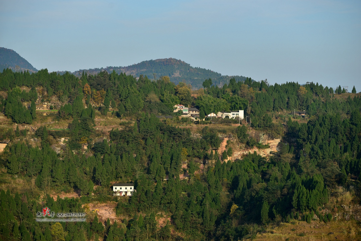 DSC_4459.jpg