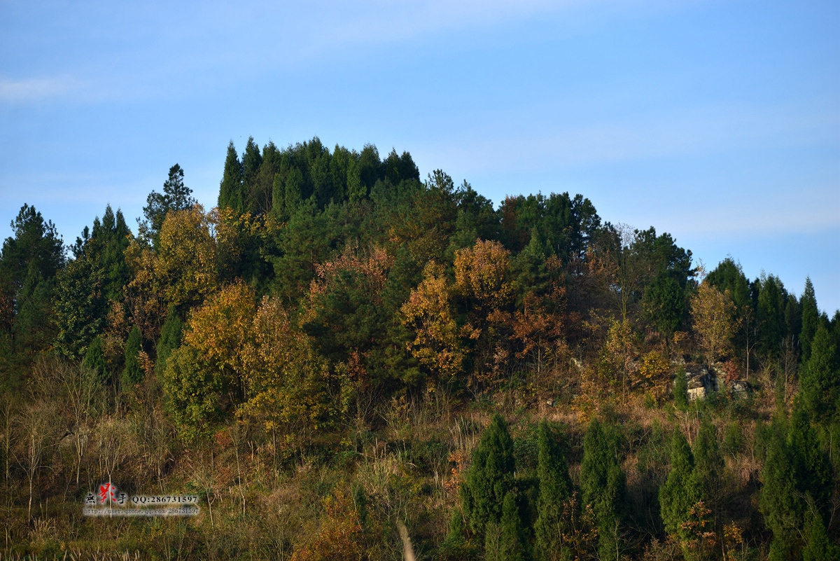 DSC_4465.jpg