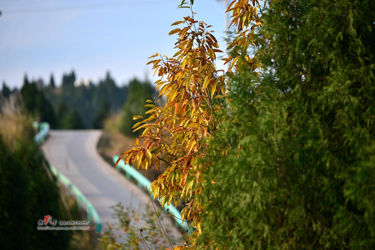 DSC_4480.jpg