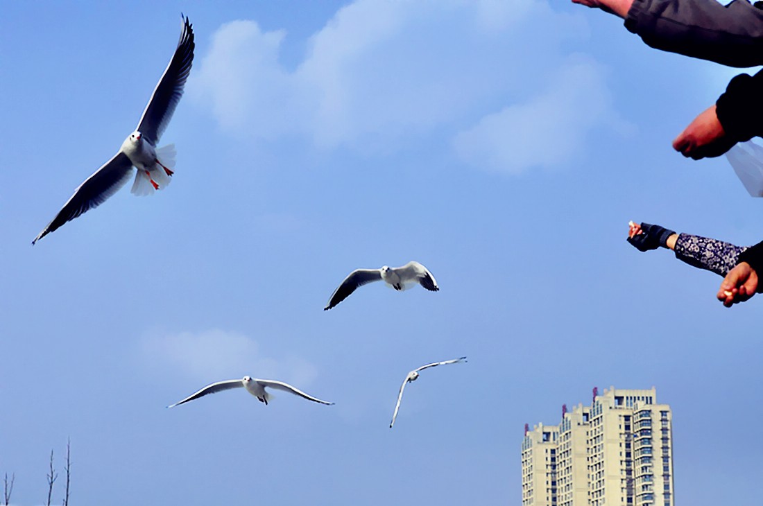 _DSC0713__conew1.jpg