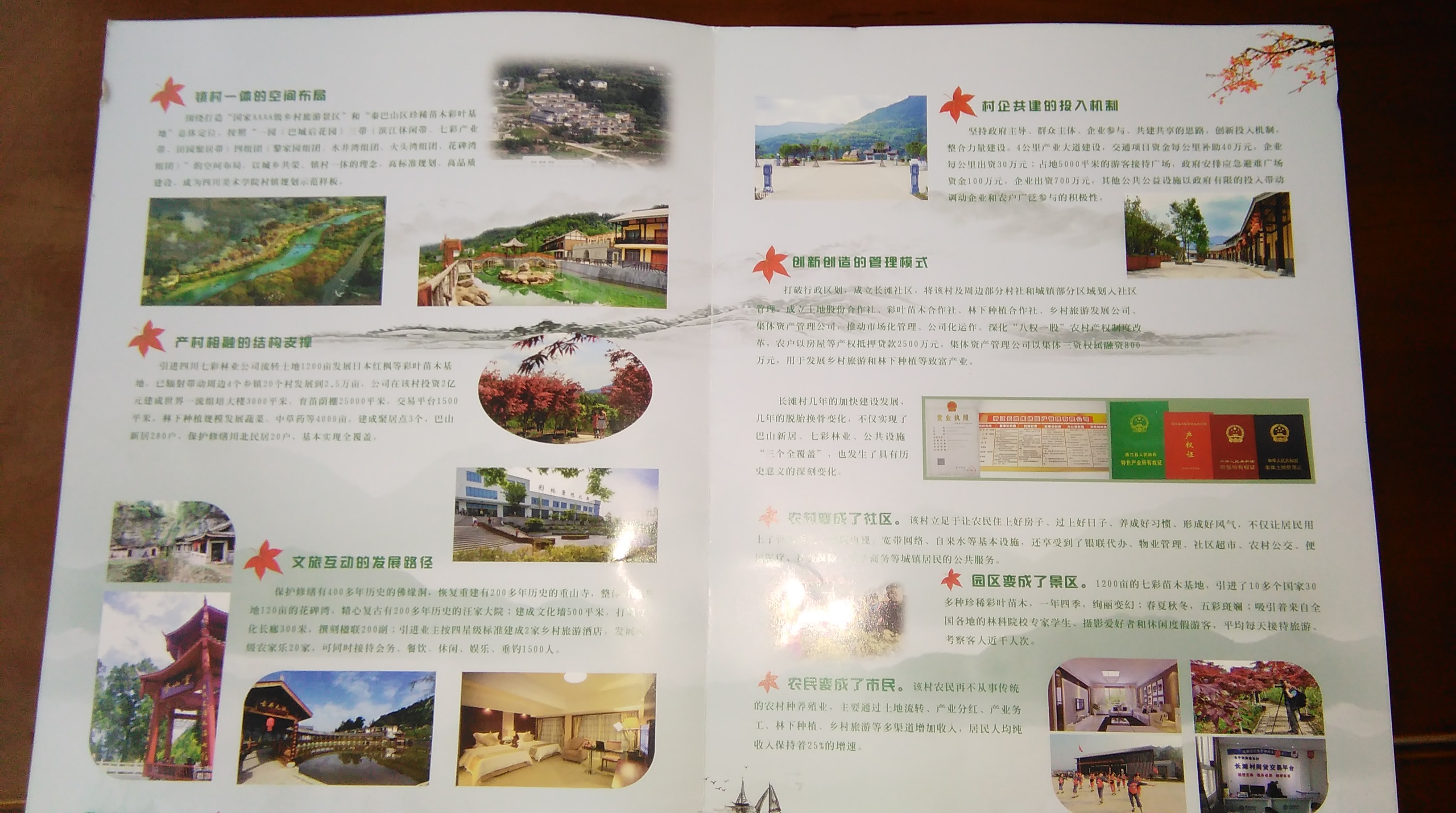 IMG_20160108_164516.jpg