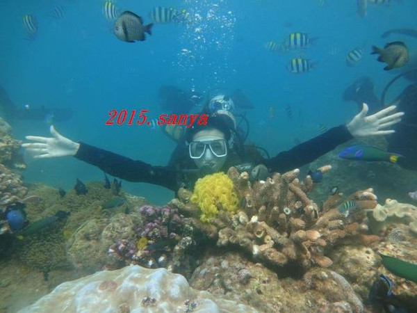 mp42628635_1447894335251_84.jpg