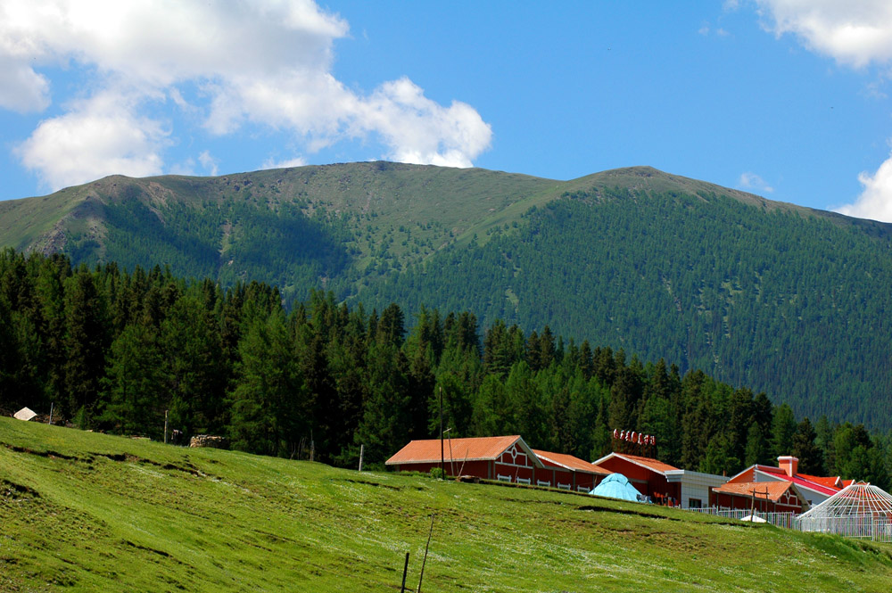 DSC_8951 - .JPG