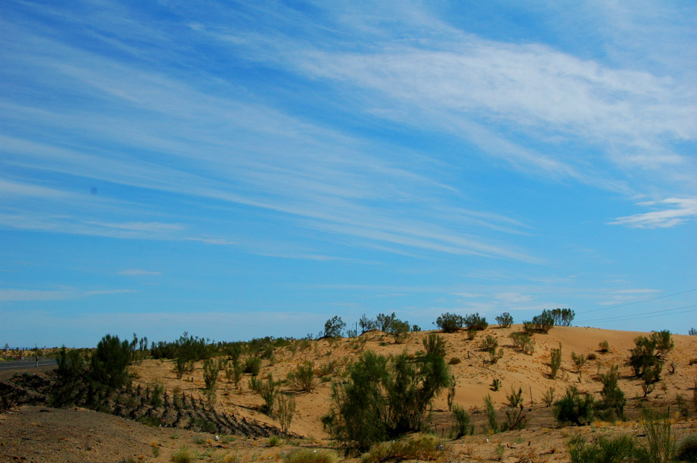 DSC_9415 - .JPG