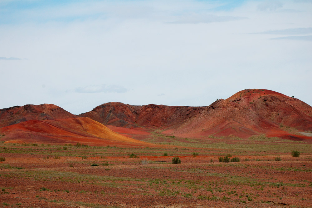 DSC_9427 - .JPG