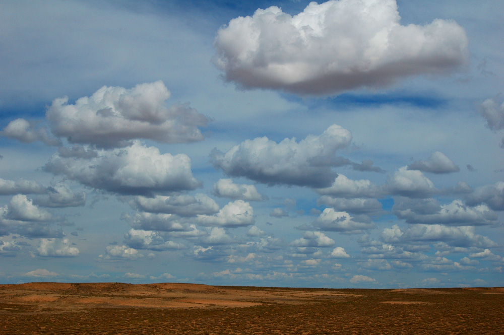 DSC_9576 - .JPG