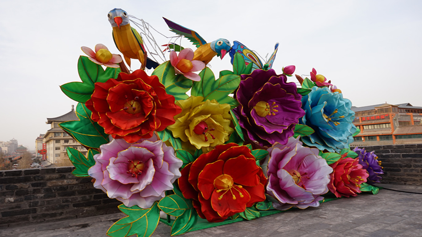 DSC00136_.jpg