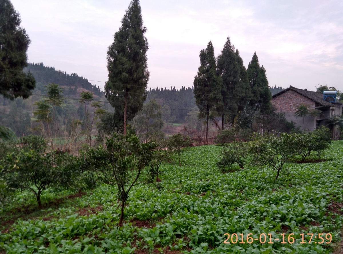IMG_20160116_175909_HDR.jpg