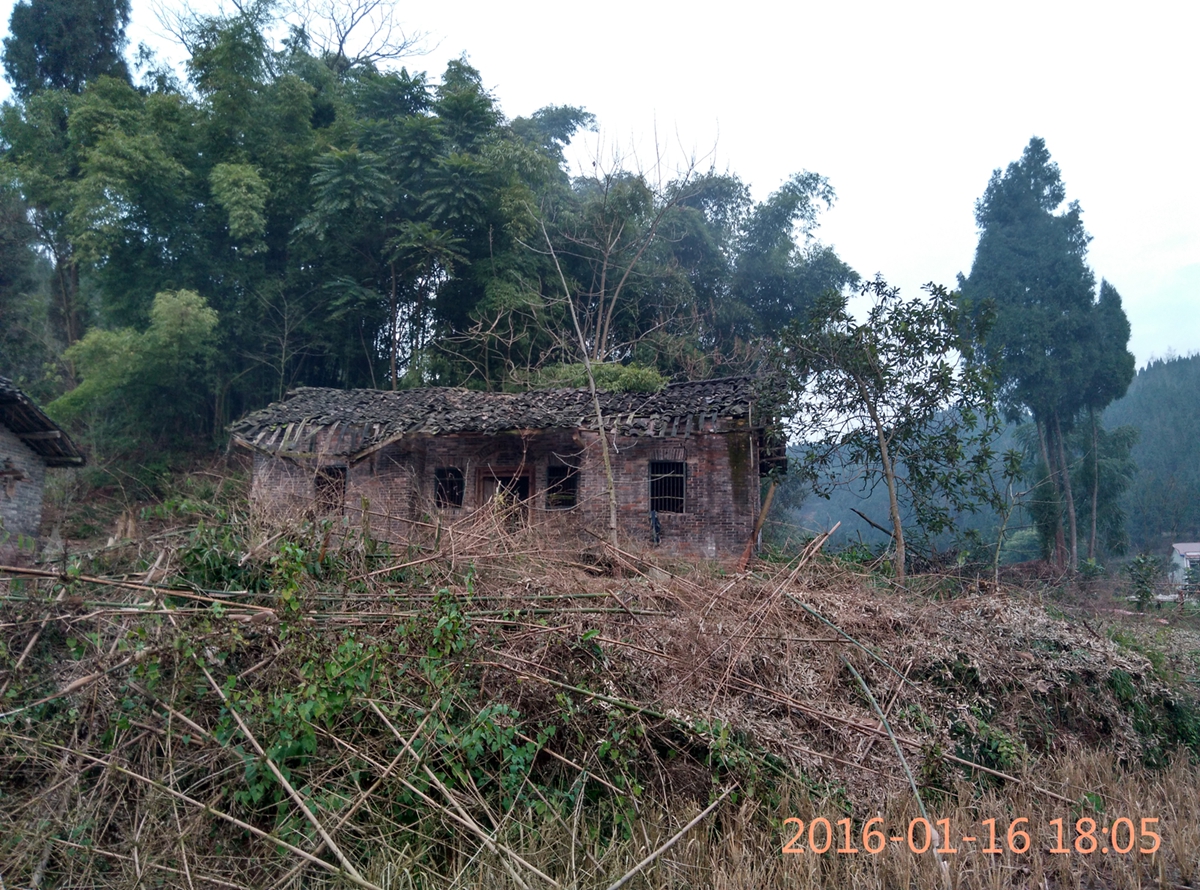 IMG_20160116_180532_HDR.jpg