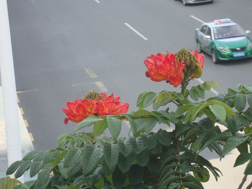 DSC03912.JPG