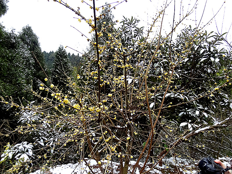 DSC01032_.jpg