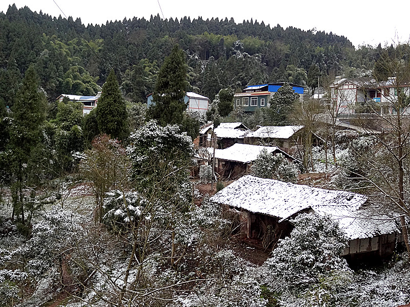 DSC01039_.jpg