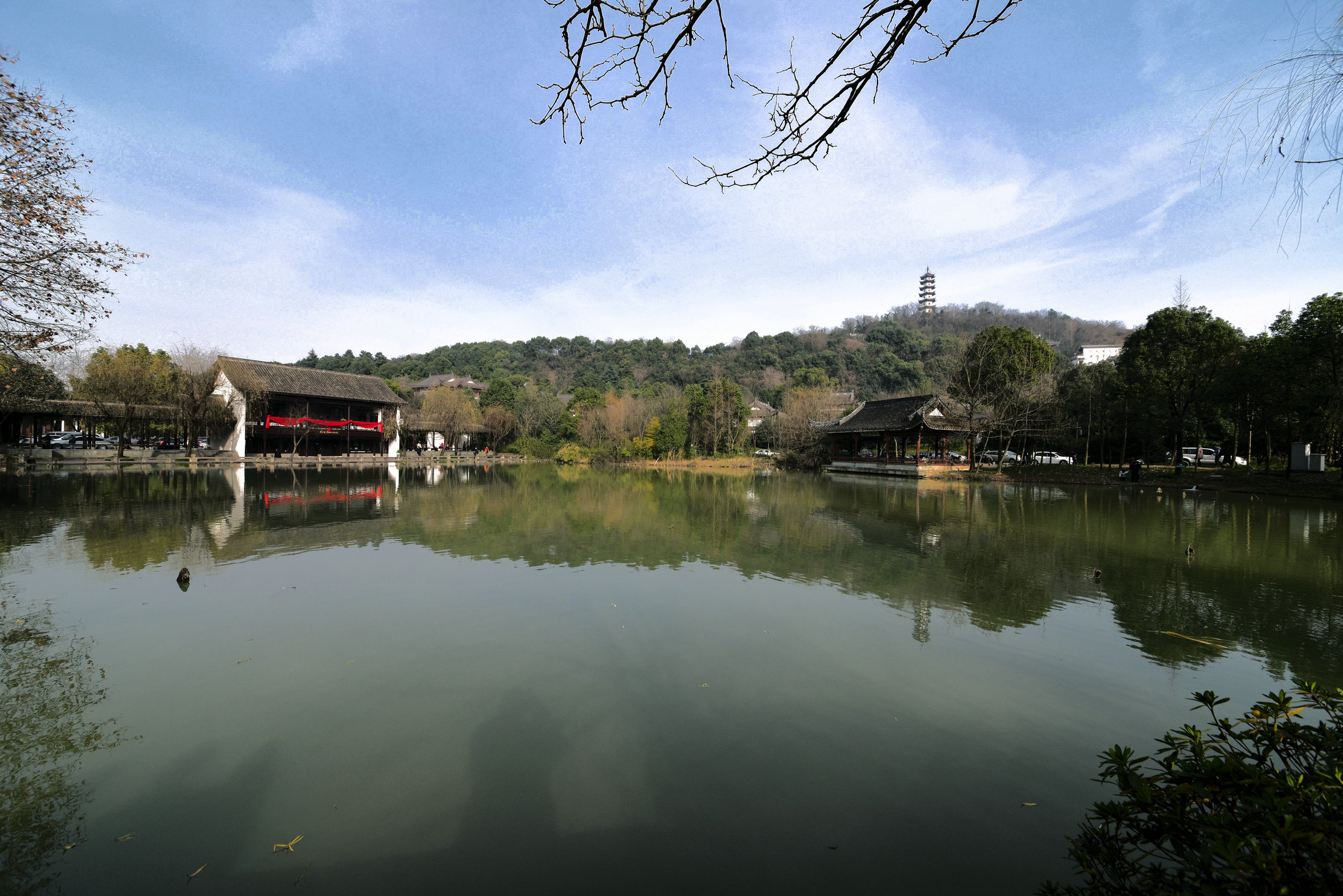 DSC_4316.JPG