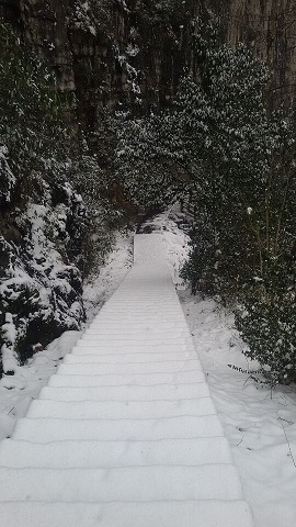 Ӳе.jpg