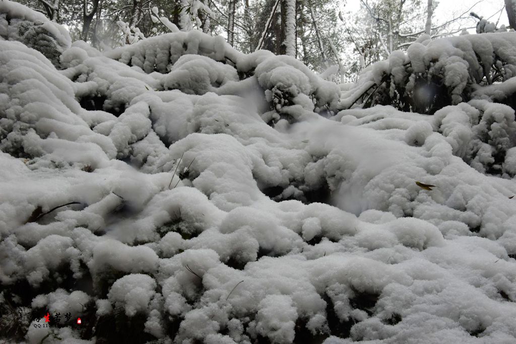 DSC_0208__.jpg
