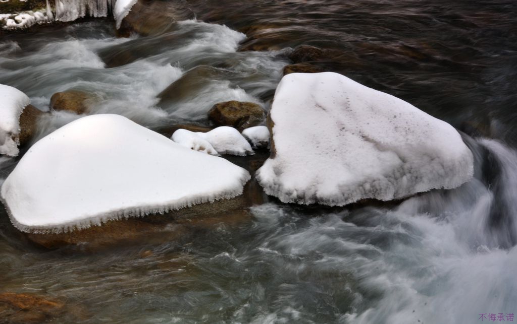 DSC_0087_.jpg