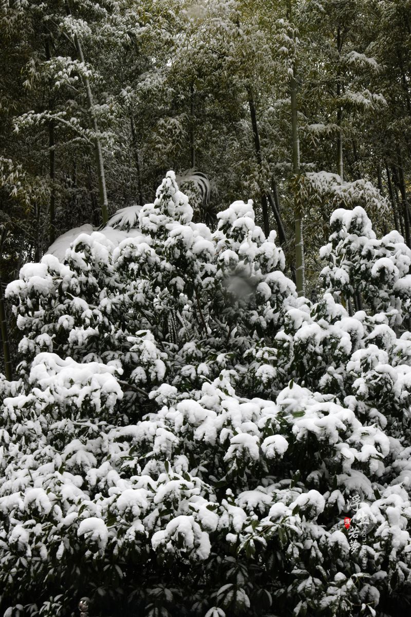 DSC_0235__.jpg