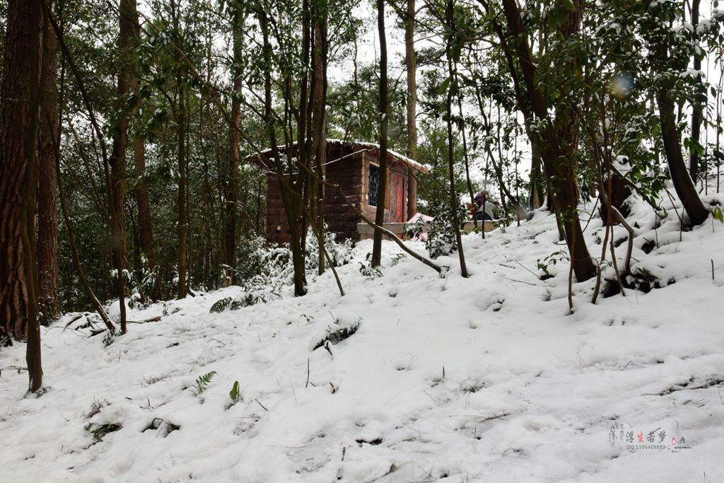 DSC_0258__.jpg