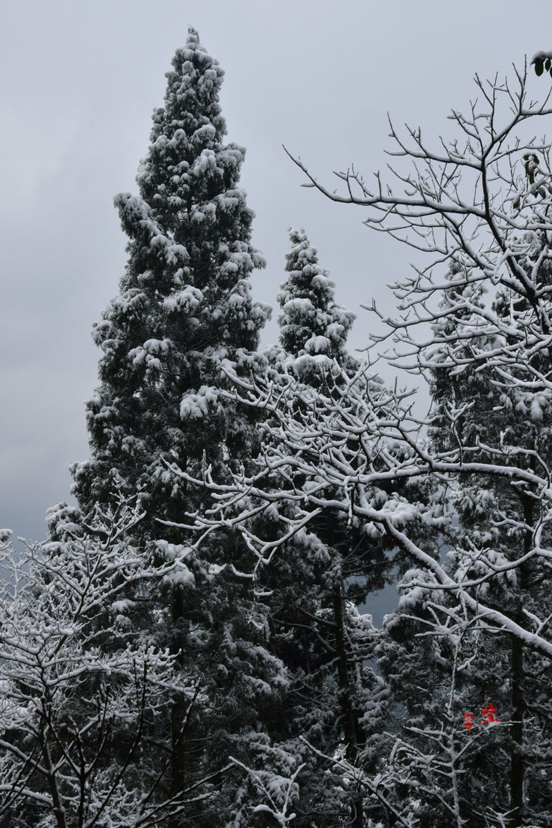 DSC_0283__.jpg
