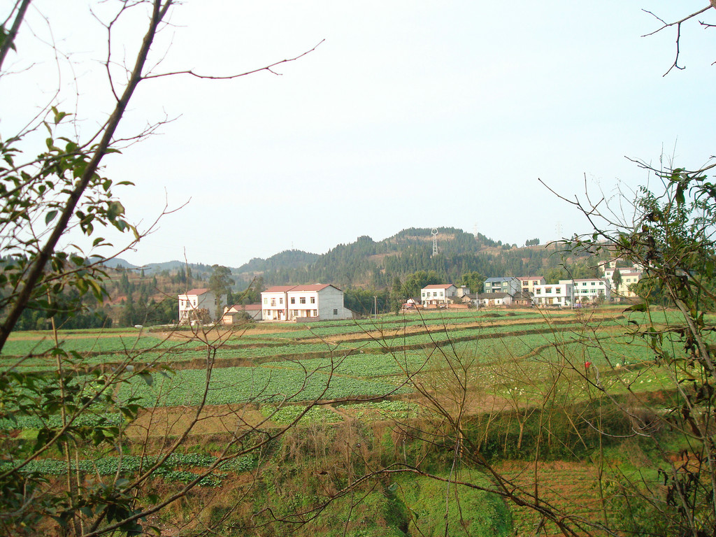 DSC07851.JPG
