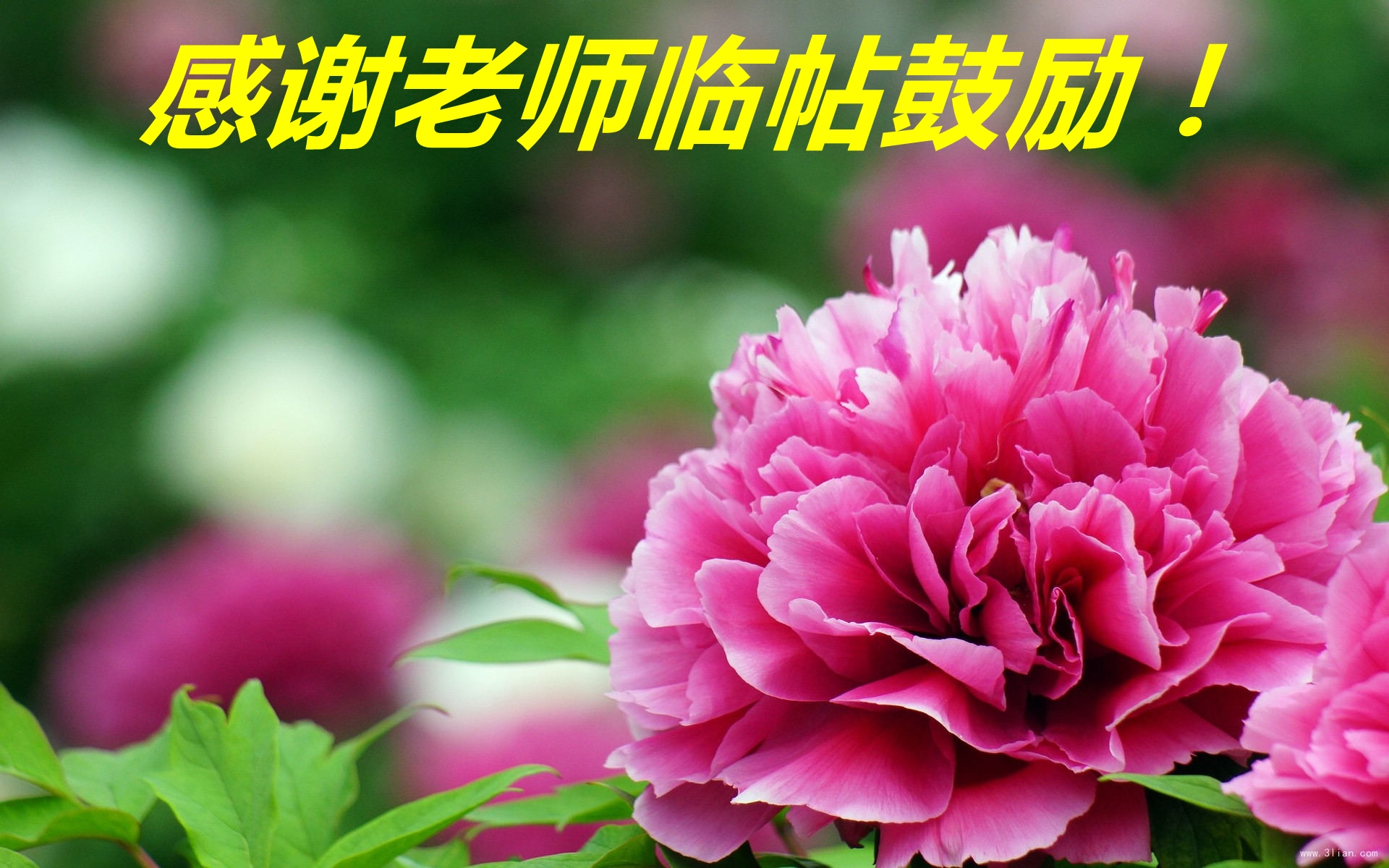 171111r9ni67d70dicpddd.jpg
