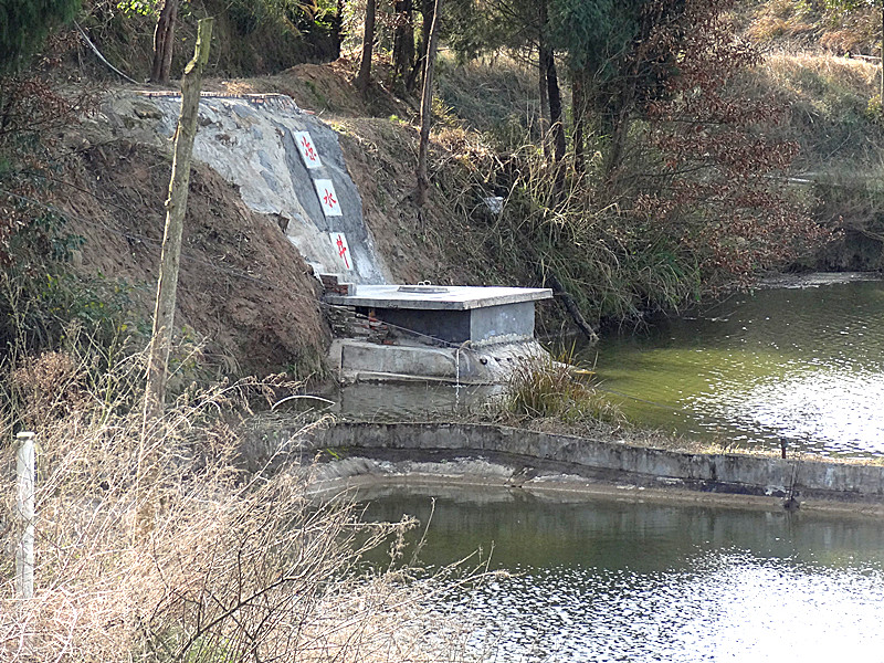 DSC01121_.jpg