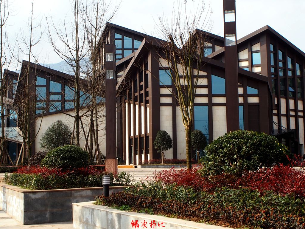P1250015_.jpg