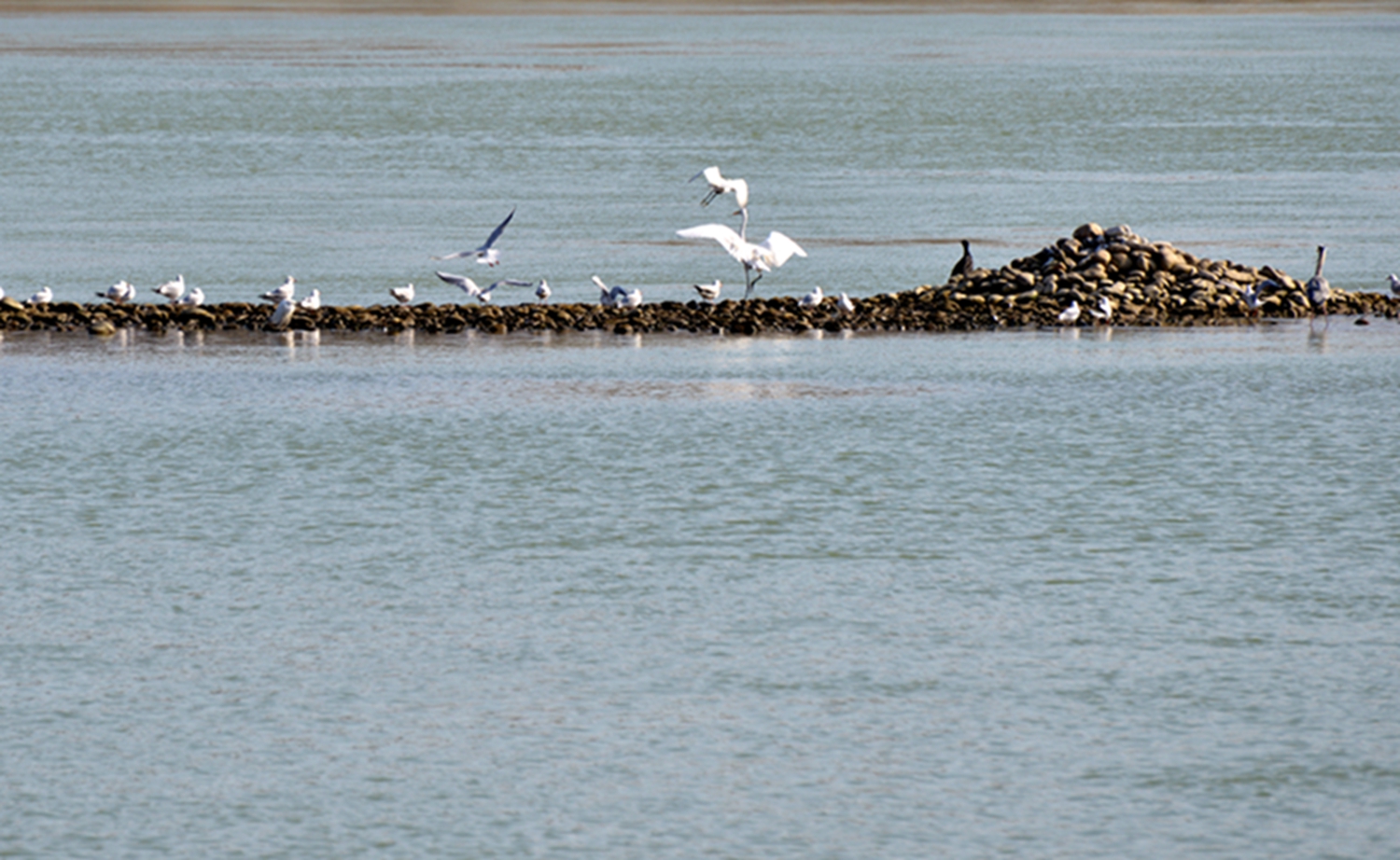 DSC_9712.JPG