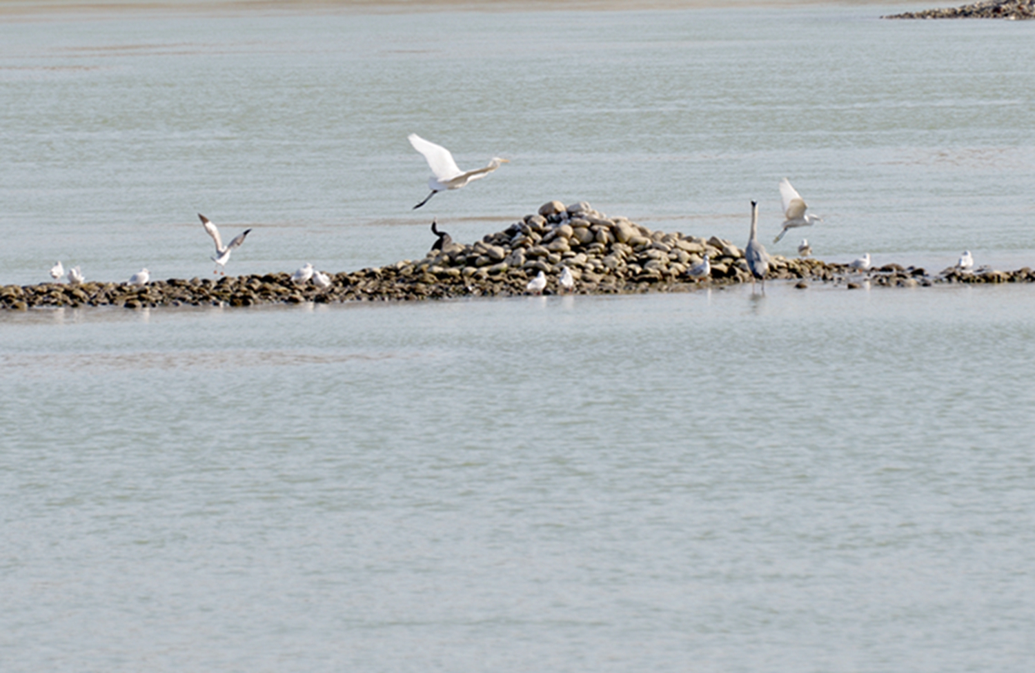 DSC_9714.JPG
