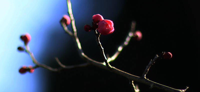 5Y6A0301.jpg
