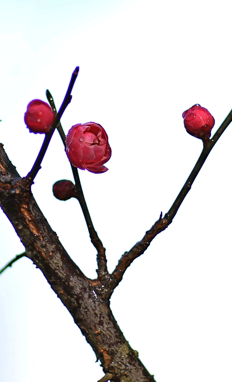 5Y6A0351.jpg
