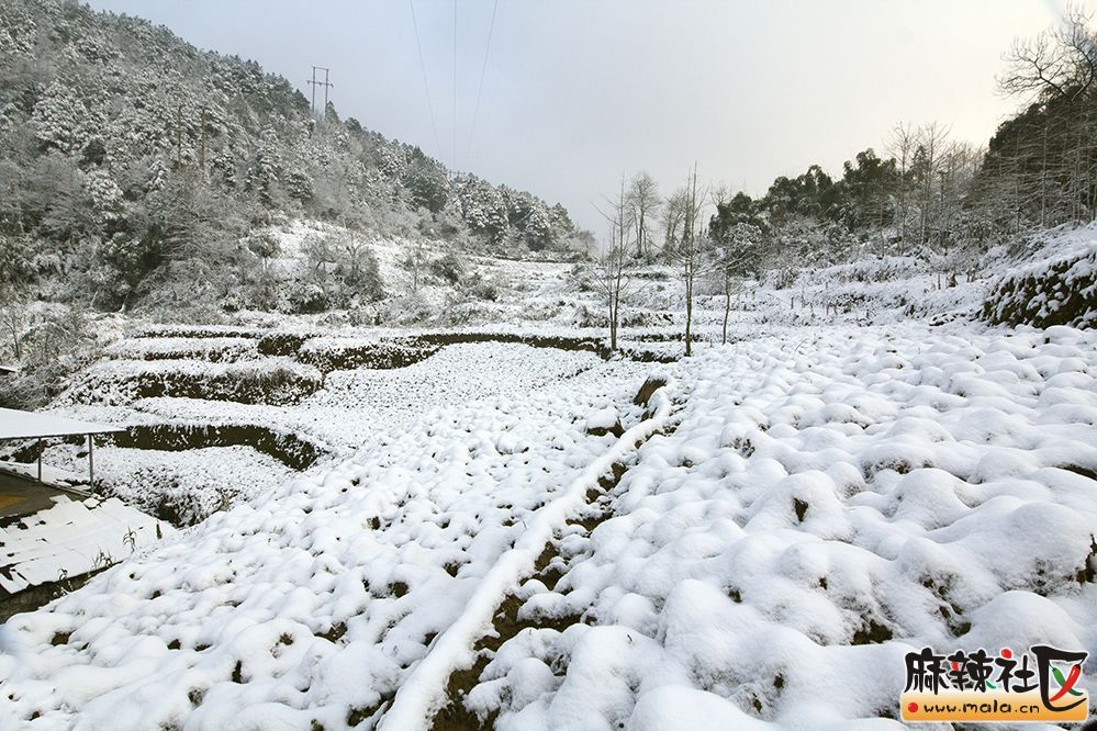 華鎣山前鋒區桂興雪景