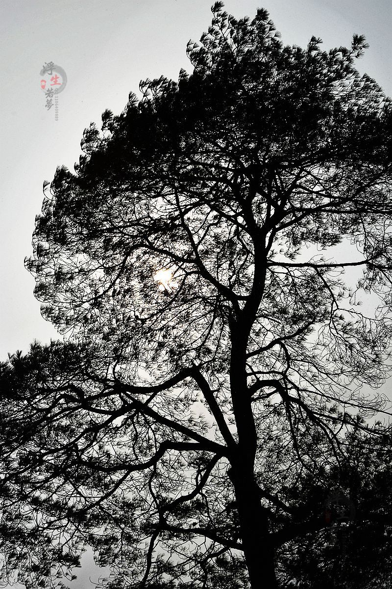 DSC_0125__.jpg