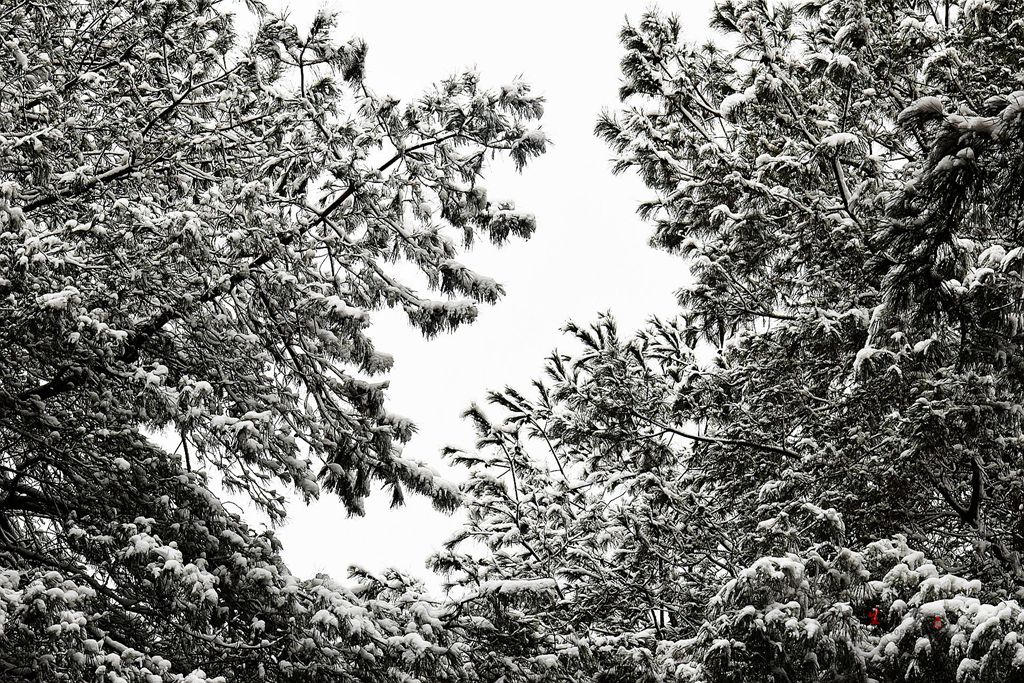 DSC_0169__.jpg