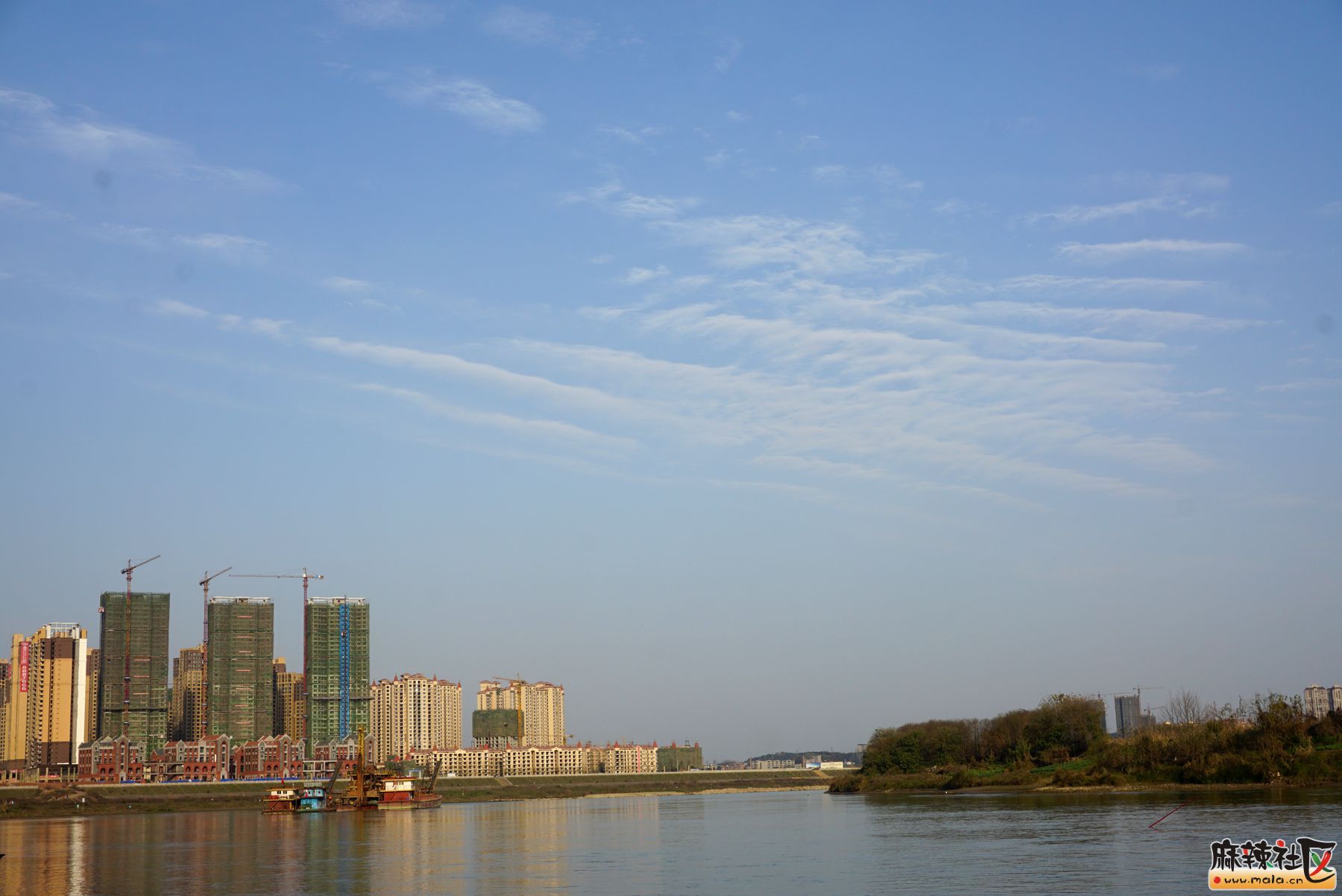 DSC04649.JPG