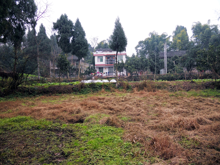 冬季的乡村-营山论坛-麻辣社区 四川第一网络社区 你的言论 影响四川