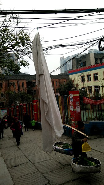 IMG20160126095548_.jpg