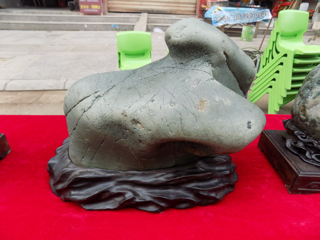 DSCN0463.JPG