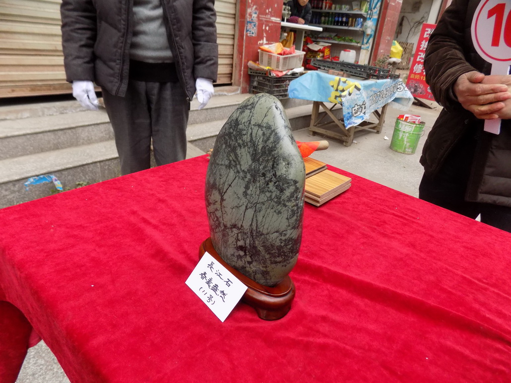 DSCN0497.JPG